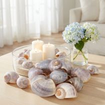 Artikel Naturliga snäckskal 1 kg