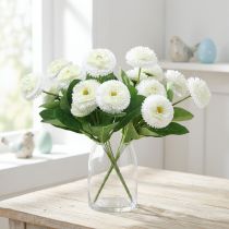 Artikel Bellisbund vit 24cm 2st