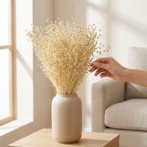 Artikel Torkat gräslin torkat naturligt blekt 50-55 cm 180 g