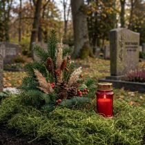 Artikel Dekorativ mossatorkad skogsmossagrön naturlig dekoration 300g