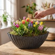 Artikel Växtskål med spår oval båt antracit 36cm