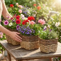 Artikel Växtkorg, naturlig behållare för plantering, fyrkantig blomskål naturlig L29,5/26/23cm H21/19/16cm set om 3