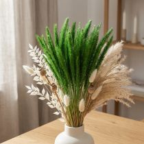 Artikel Grön borst hirs Setaria viridis torrt gräs 52cm 28g