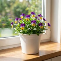 Artikel Plastkruka “Irys” vit Ø15cm H13cm 1 st