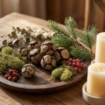 Artikel Cypresskottar, naturliga, 3 cm, 500 g