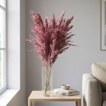 Artikel Torkat rörsgräs, torkat dekorationsgräs, antik ros, 75 cm, 10 stycken