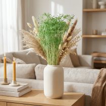 Artikel Torkade blommor, paraplyblommor, gröna, 70-80 cm, 150 g