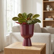 Artikel Blomkruka, koppformad, modern stil, dekorativ för alla hem och kontor, 23 cm