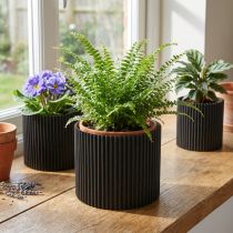Artikel Pappersblomkruka svart Ø19cm H14cm 3 st