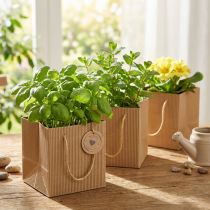 Artikel Blomkruka av papper växtpåse folie naturell 10,5cm 10 st