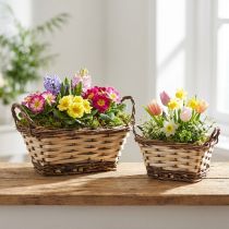 Artikel Planter, dekorativ korg, fyrkantig, naturliga färger 21 × 16/16 × 13 cm, uppsättning av 2