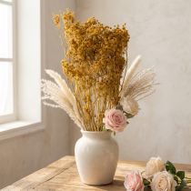 Artikel Torkad blombukett av dill med fina blommor för romantisk vintagedekoration 55 cm