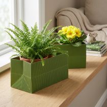 Artikel Blomkruka Långräfflad Grön Olivgrön 24x12cm 6 st