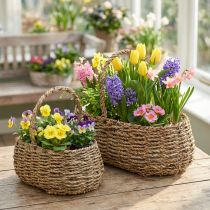 Artikel Växtkorg med handtag korg blomsterkorg L23/35cm set om 2