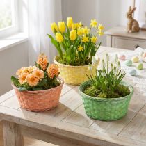 Artikel Växtkorg rund Ø25cm orange, gul, grön 6 st