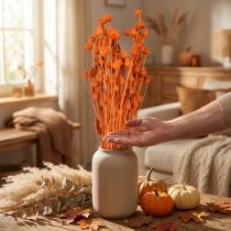 Artikel Torkade blommor torr tistel jordgubbstistel apelsin 100g