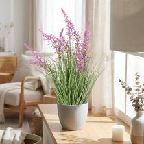 Artikel Dekorativ grönska med fina blommor för elegant rumsdesign 67 cm