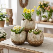 Artikel Plantkruka Keramik Ägg Broken Cream Brun Ø9,5cm 3 St