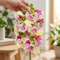Artikel Konstgjord orkidégren Phaelaenopsis Green Pink H49cm