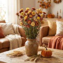 Artikel Halmblomma Gul, Röd torkad Helichrysum torkad blomma 50cm 60g