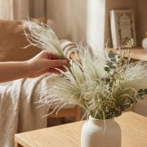 Artikel Torkade blommor deco fjäder gräs torrt gräs natur 50g