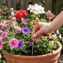 Artikel Träpinnar för fågelträdgård för kreativ dekoration på vår och sommar, 33 cm, 16 stycken