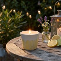 Artikel Citronella ljus i kruka keramisk gul kräm Ø8,5cm