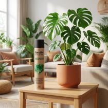 Artikel Oasis Floralife Leaf Shine Leaf Shine Spray 750ml