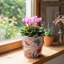 Artikel Blomkruka blomkruka plastblomkruka Ø15,5 × H13cm