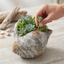 Artikel Blomkruka skalsten antikgrå maritim 22×18×13cm