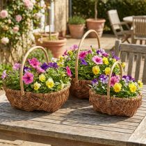 Artikel Korg växtkorg vävd korg med handtag naturlig 33/28/22cm set om 3