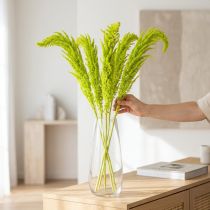 Artikel Torkade rävsvansblommor, färgade, för speciell heminredning och unika accenter, 100 cm, 5 stycken