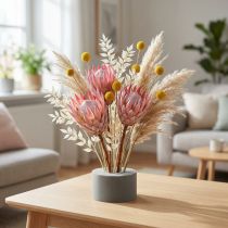 Artikel Blommig skumcylinder torr plug-in blandning grå H5cm Ø8cm 20 st