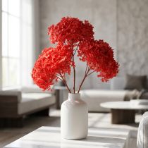 Artikel Dekorativ hortensia: konserverad torkad blomma för elegant inredning