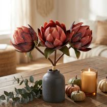 Artikel Dekorativa Protea konstgjorda konstgjorda blommor röd-orange 34cm 3st