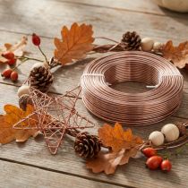 Artikel Aluminiumtråd Ø2mm aluminiumtråd hantverkstråd ljusbrun 500g 60m
