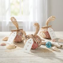 Artikel Maritim dekorativ snäckskalmix i ett nät, färgglad, 3,5-6 cm, 300 g × 3 stycken
