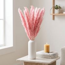 Artikel Torrt gräs rosa dekorativt rörgräs pampas 70 cm 10 st