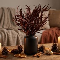 Artikel Eucalyptus Konserverade Eucalyptus Grenar Röd, Brun 56cm 135g