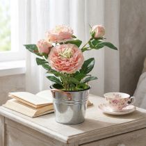 Artikel Dekorativ ros i kruka, romantiska sidenblommor, rosa pion