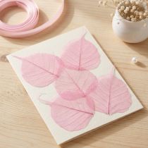 Artikel Skelettblad, rosa dekorativa pilblad 5-9 cm, 200 stycken - Perfekt för gratulationskort och gör-det-själv