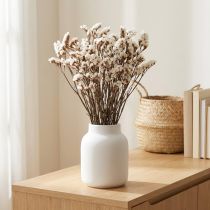 Artikel Torkade blommor av vit havslavel (Limonium), 60 cm, 35 g