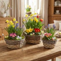 Artikel Shabby Chic Vitt Växtkorgset, Påskdekoration Naturkorg med Handtag Ø28/24/19cm, Dekorativa Korgar Tvättade