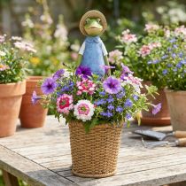 Artikel Frog deco planter polyresin bordsdekoration sommar H31,5cm