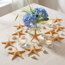 Artikel Sjöstjärnor scatter dekoration hem deco mini sjöstjärnor natur 2-4cm 50p