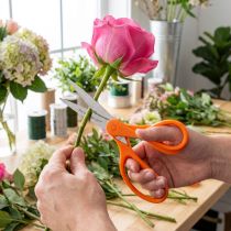 Artikel Blomsax med tänder av rostfritt stål i orange 20cm