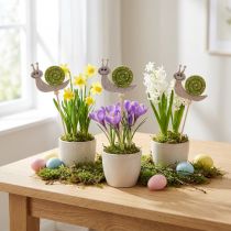Artikel Blompinne Snigeldekoration Trä Filt Grön 6,5cm 12 St