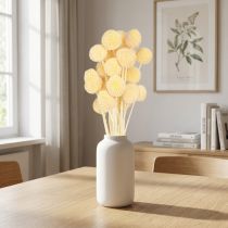 Artikel Craspedia Torkade Blommor Krämdekoration 20 st 50-55 cm