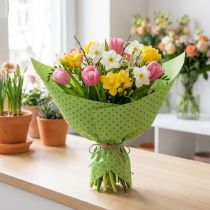 Artikel Manschettpapper silkespapper gröna prickar 25cm 100m