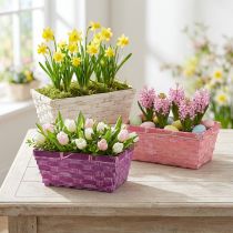 Artikel Chipkorg fyrkantig lila/vit/rosa 8 st